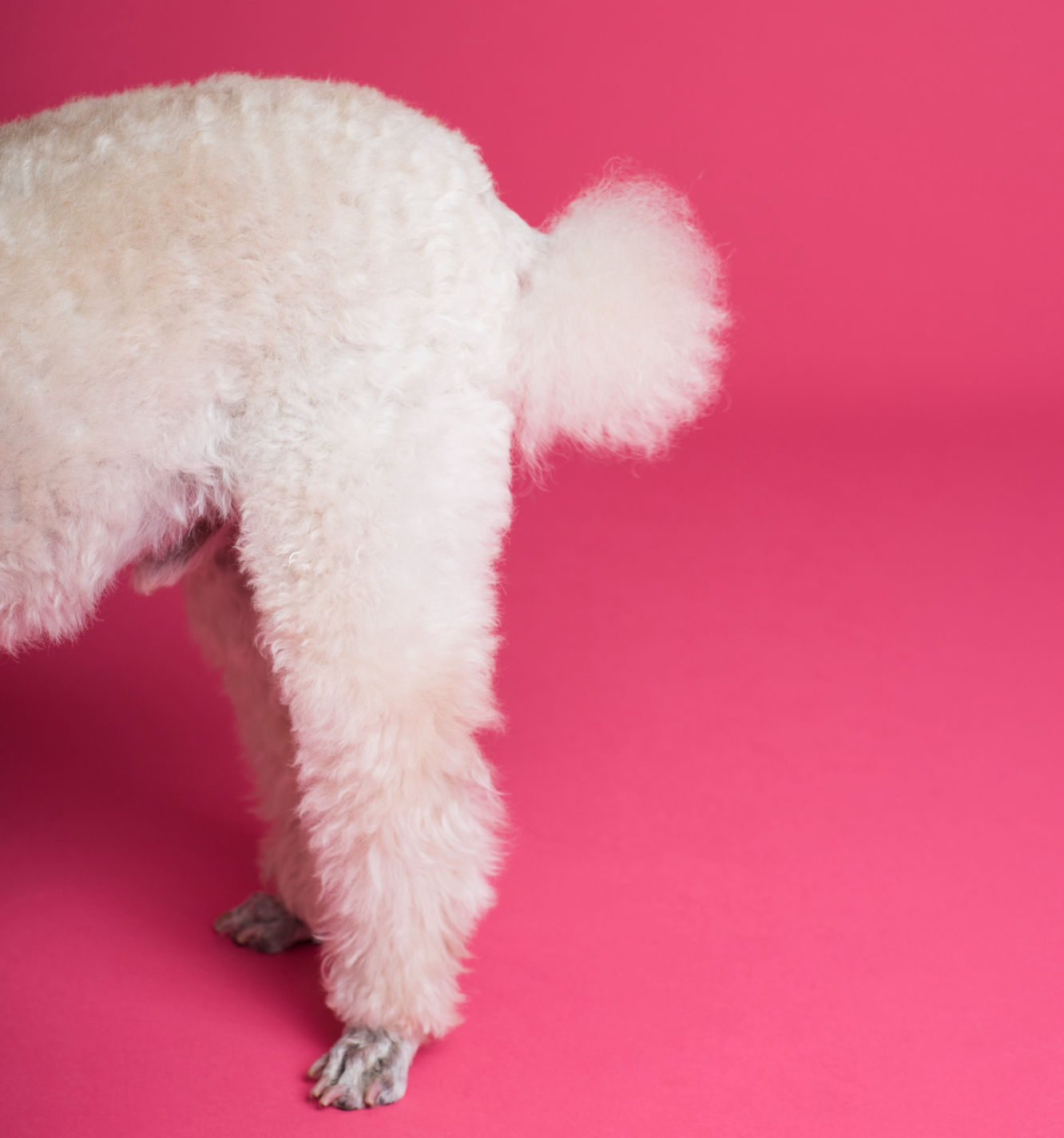 You've reached the bottom